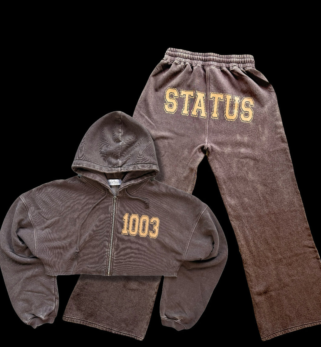 STATUNIVERSITY set brown